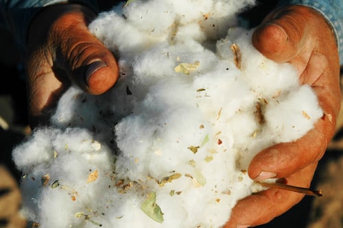 Fashion Faces Massive Shortage of More Sustainable Raw Materials